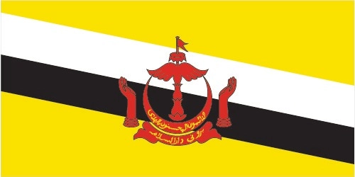 Drapeau du Brunei par Graham Bartram
