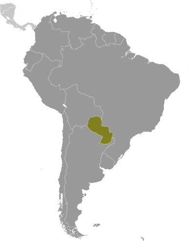 Localisation Paraguay