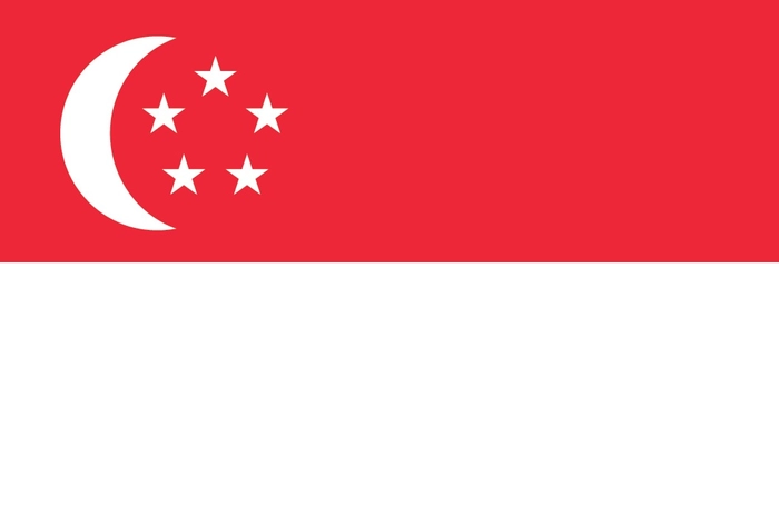 Drapeau Singapour